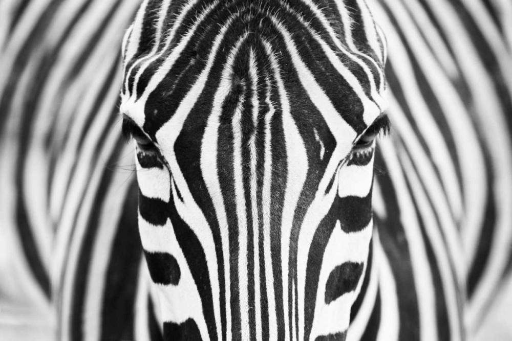 Similar wall art painting: 108083