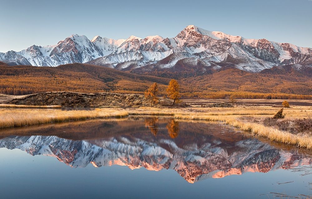 Art Print: Taranin - Autumn Kurkurek