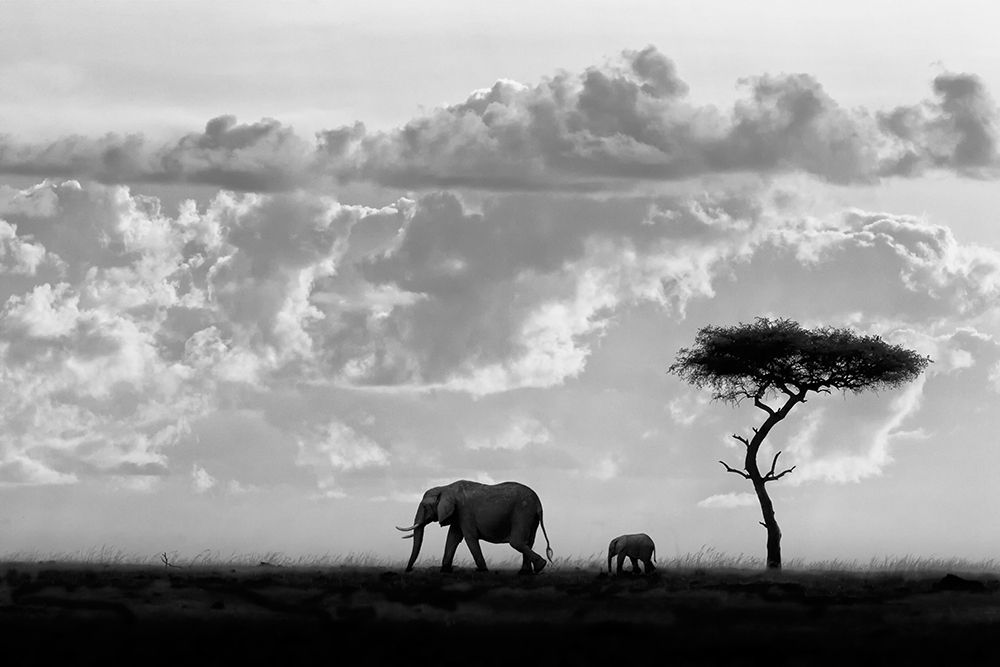 Art Print: Moreno - Silhouettes of Mara