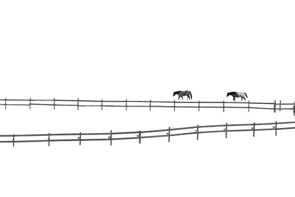 Wall Art Painting id:226077, Name: Huang - Untitled, Artist: 1x