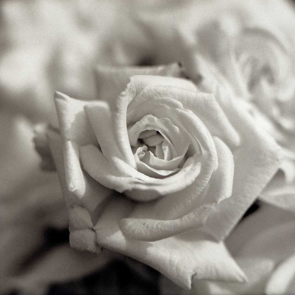 Similar wall art painting: 81854