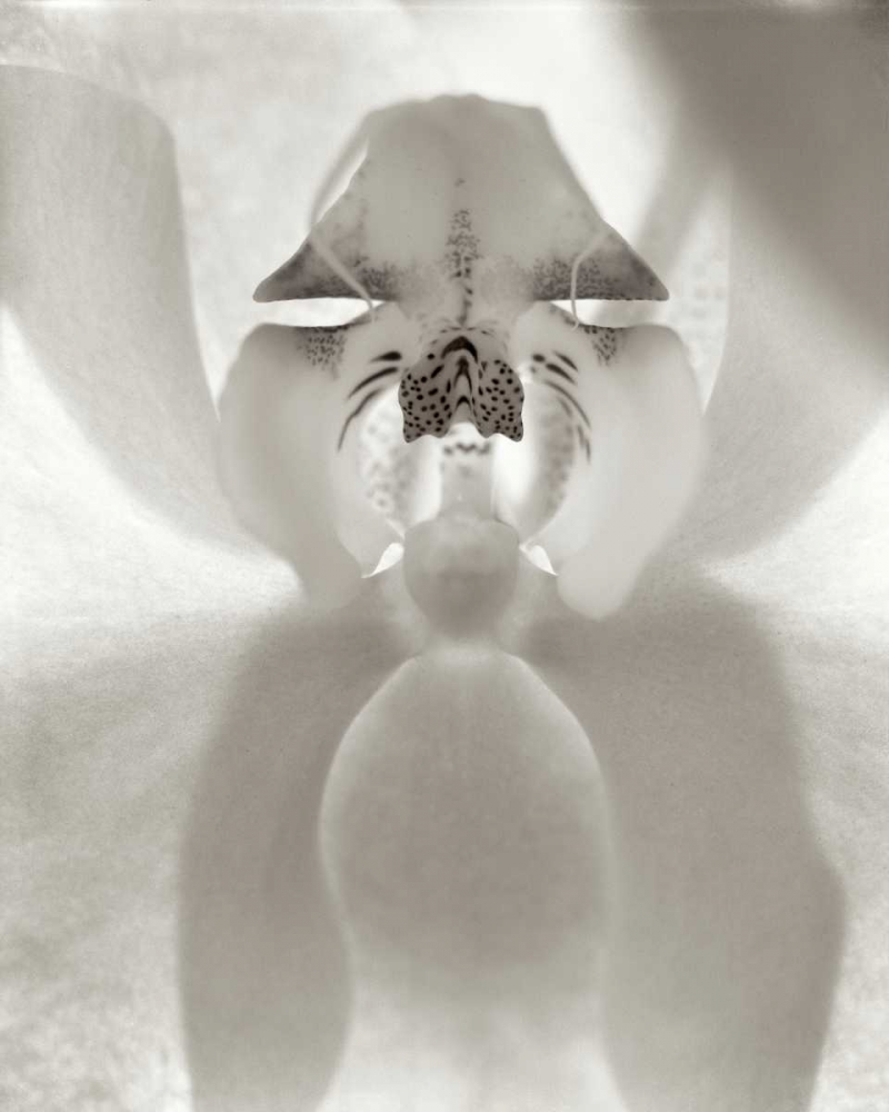 Similar wall art painting: 81849