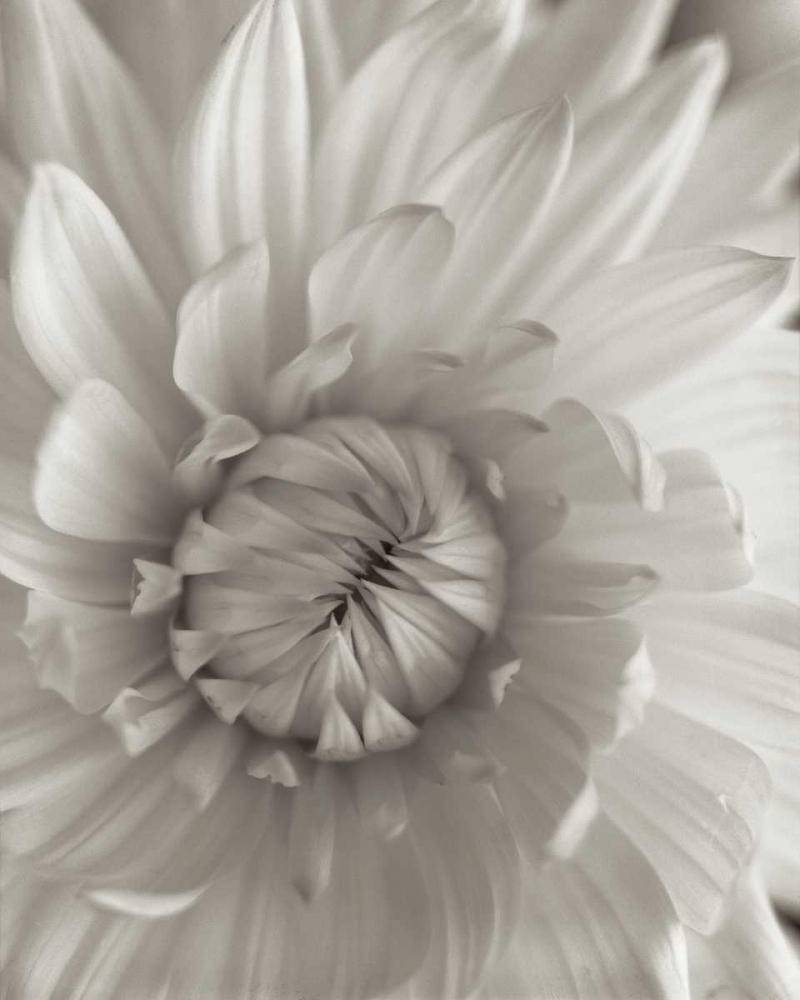 Similar wall art painting: 81847