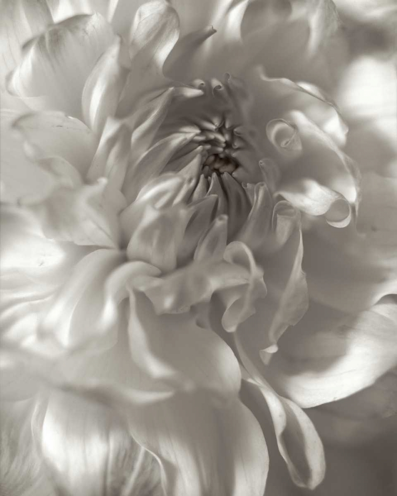 Similar wall art painting: 81840