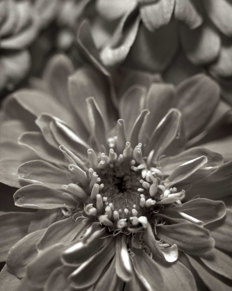 Similar wall art painting: 81839