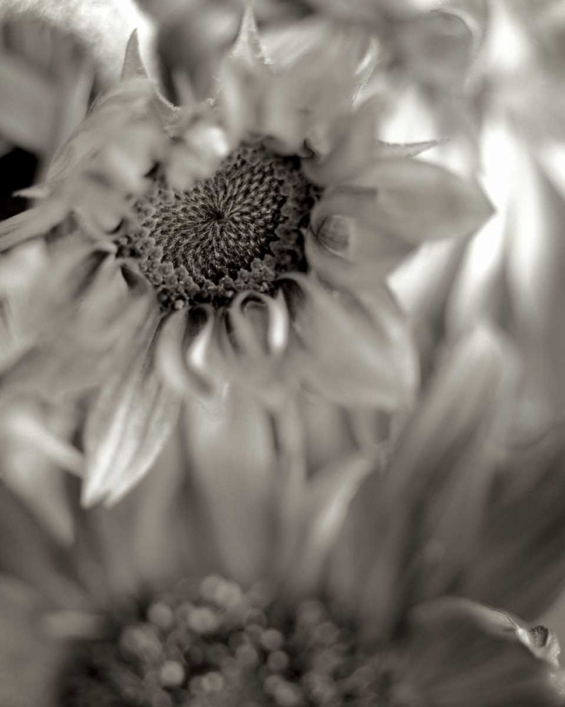 Similar wall art painting: 81837