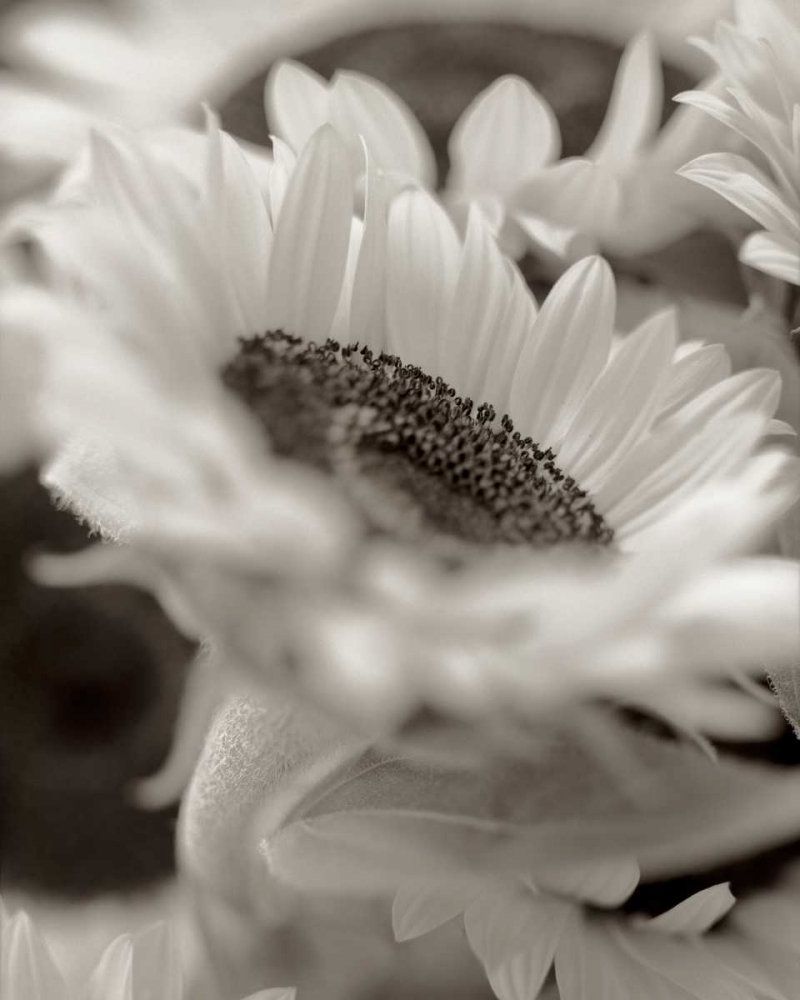 Similar wall art painting: 81853