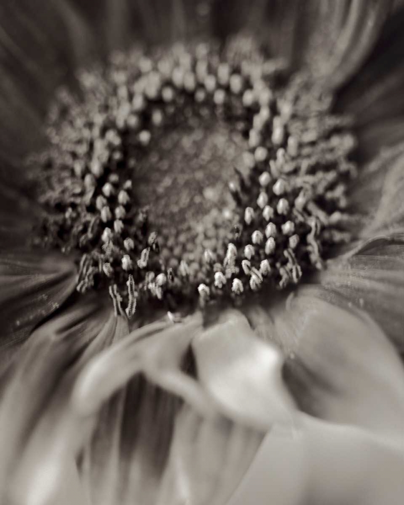 Similar wall art painting: 81842