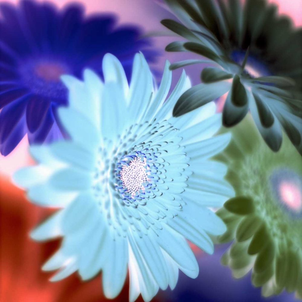 Similar wall art painting: 81792