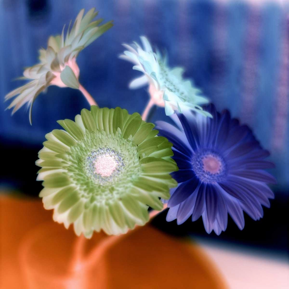 Wall Art Painting id:81817, Name: Floral Color - 3, Artist: Blaustein, Alan