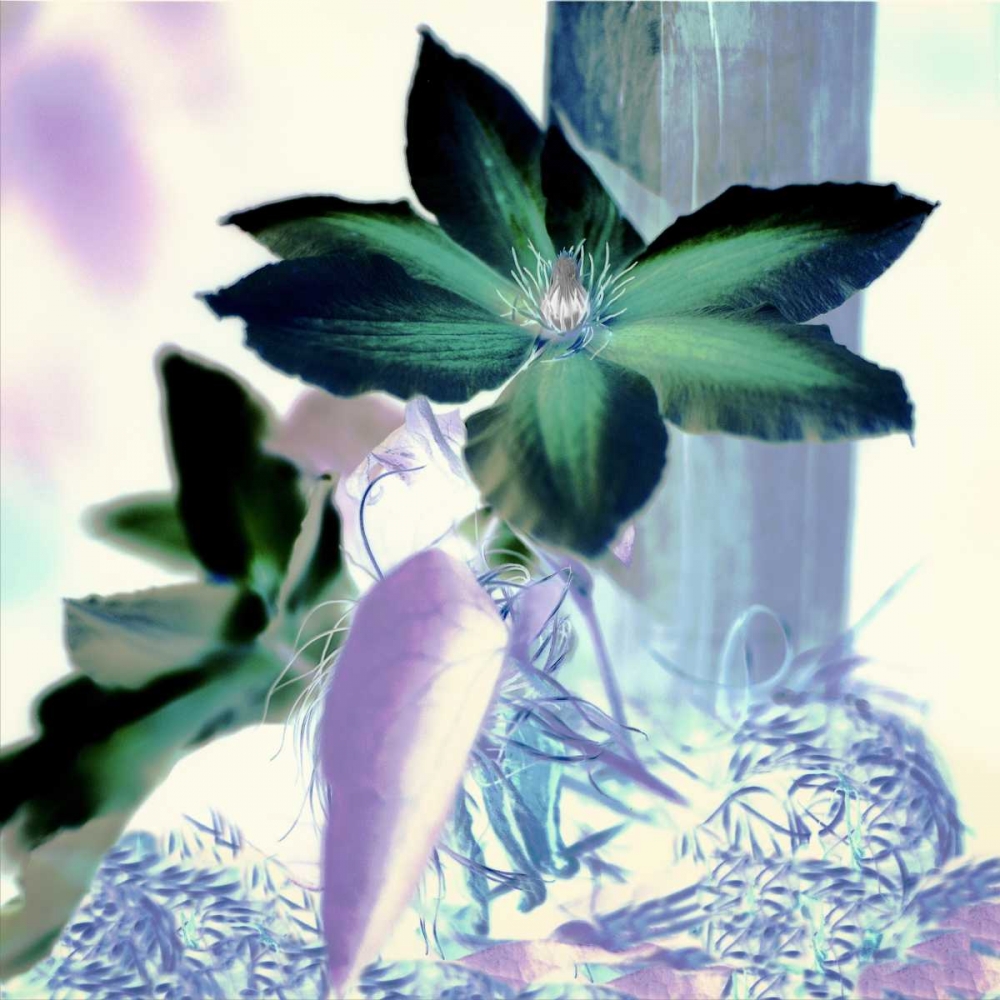 Similar wall art painting: 81793