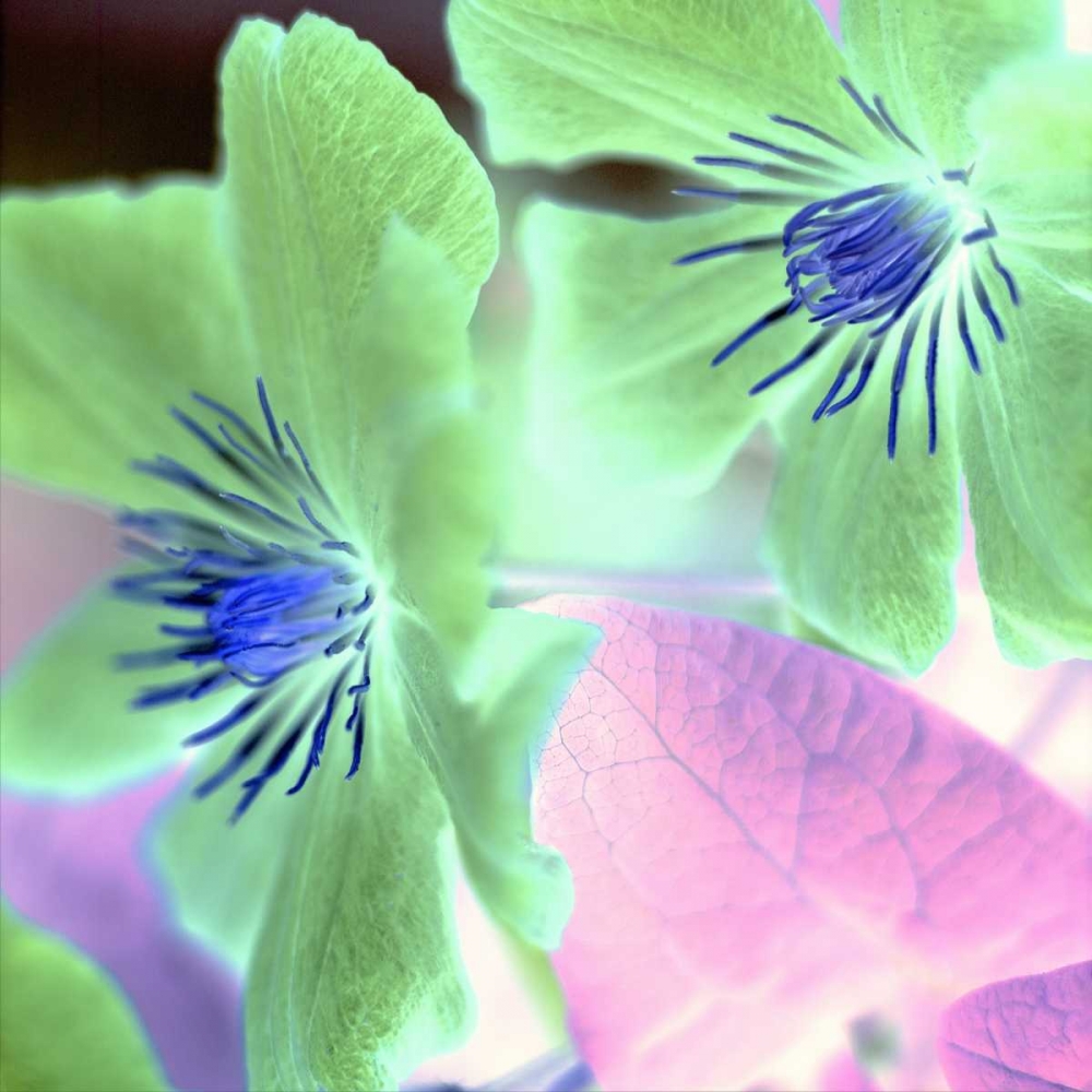 Similar wall art painting: 81795