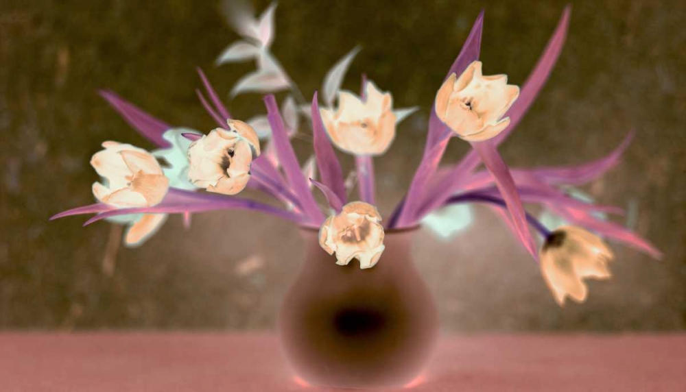 Wall Art Painting id:81802, Name: Floral Color - 19, Artist: Blaustein, Alan