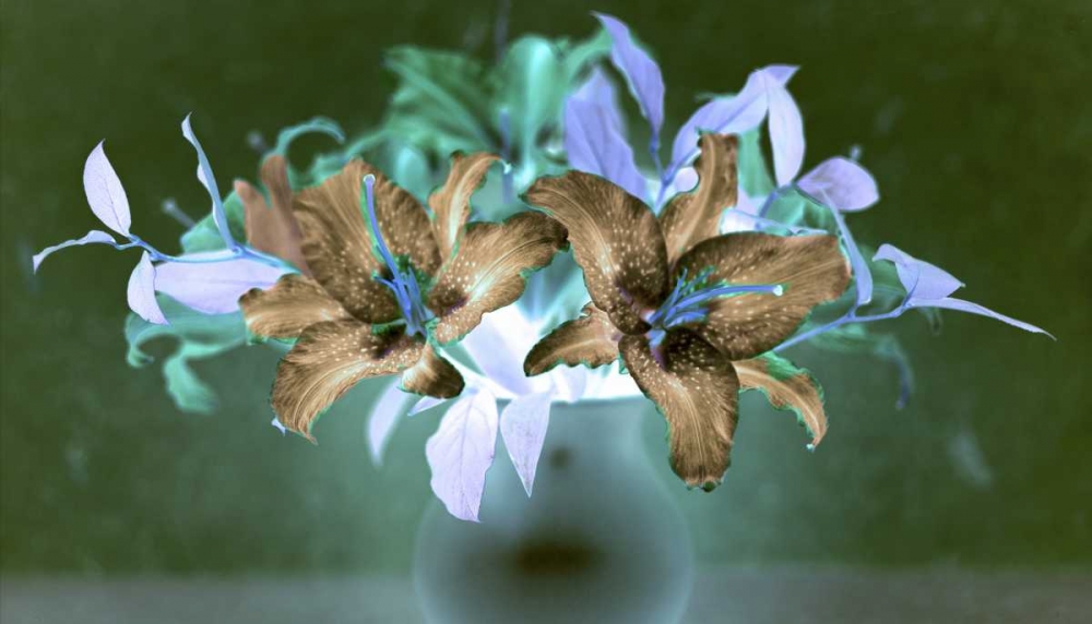 Wall Art Painting id:81805, Name: Floral Color - 20, Artist: Blaustein, Alan