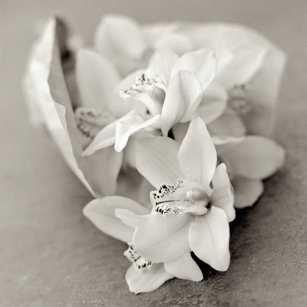 Art Print: Florison - 27