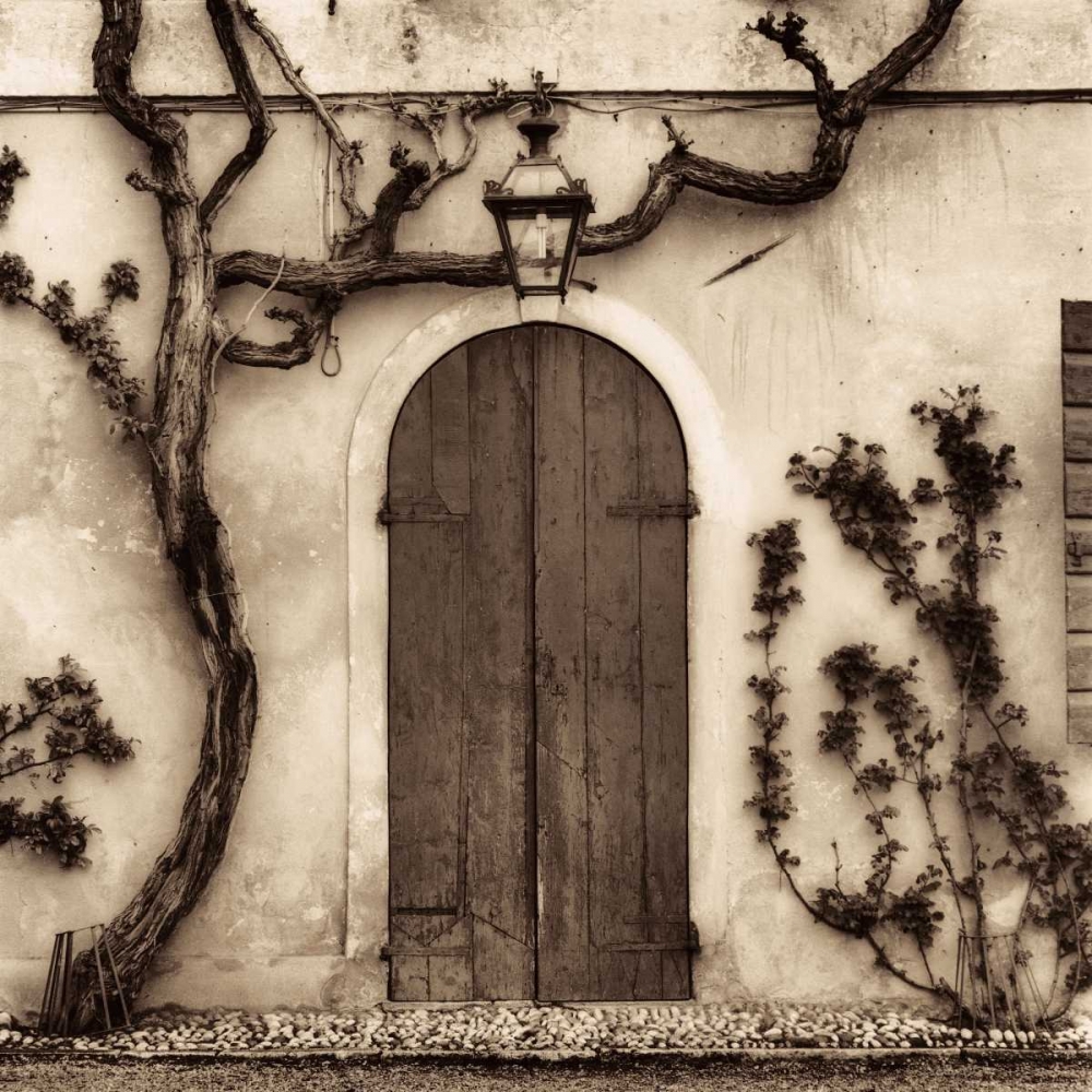 Wall art: Bassano del Grappa-Vincenzo, by Blaustein, Alan