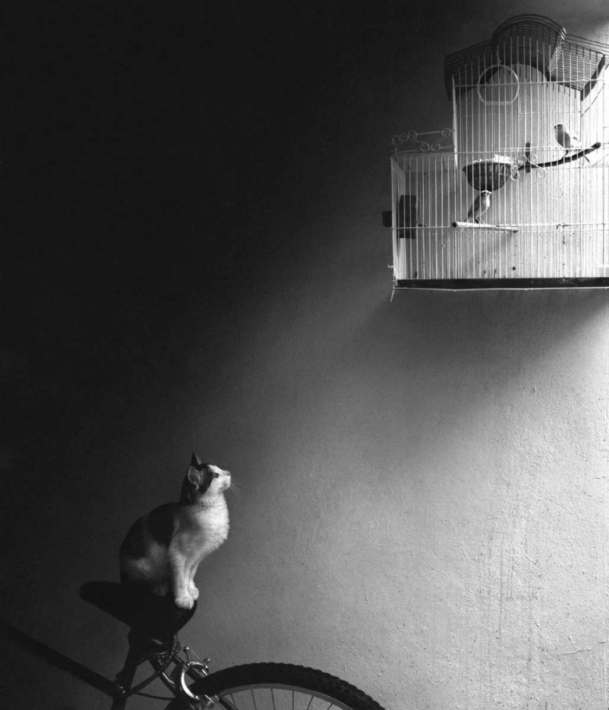 Similar wall art painting: 14615