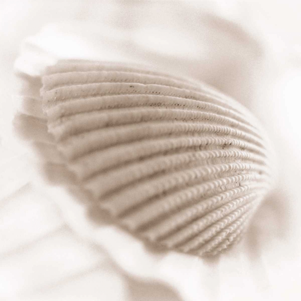 Art Print: Atlantis 3