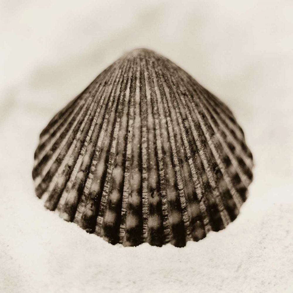 Wall art: La Playa No1, by Blaustein, Alan