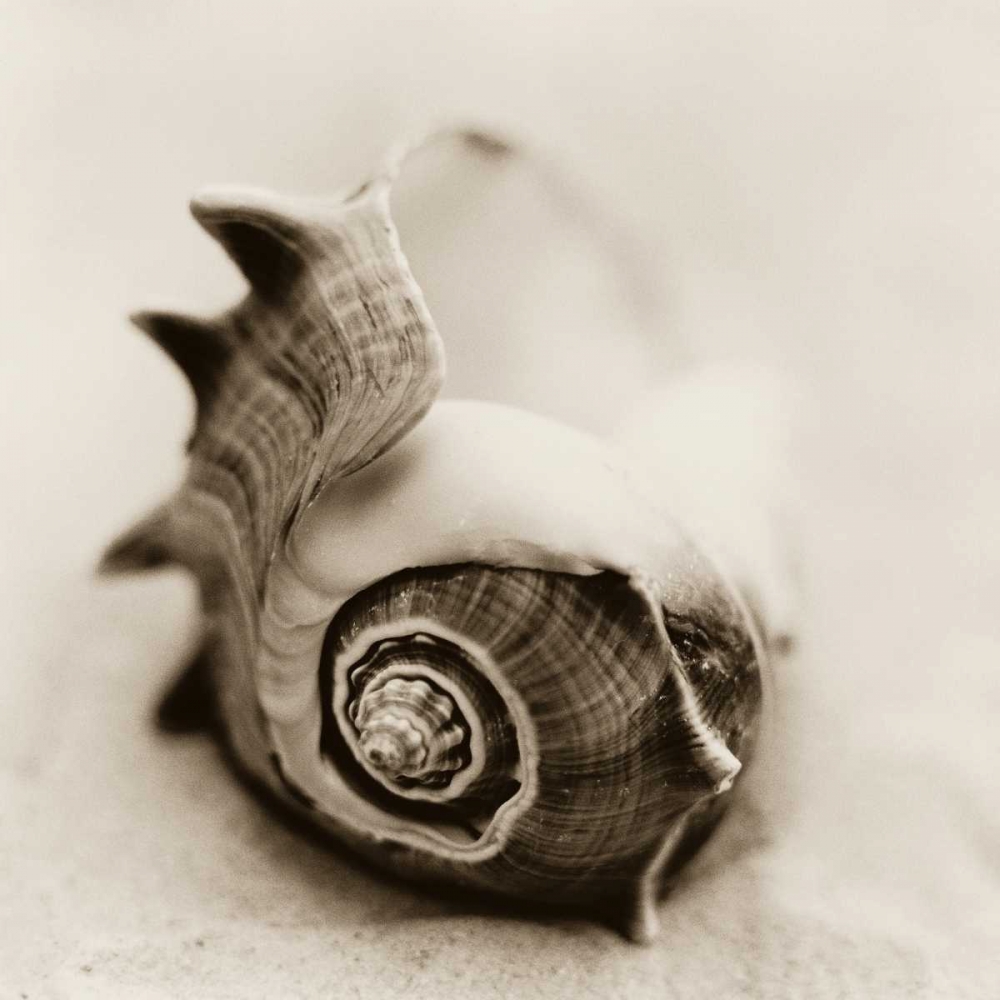 Art Print: La Playa No2