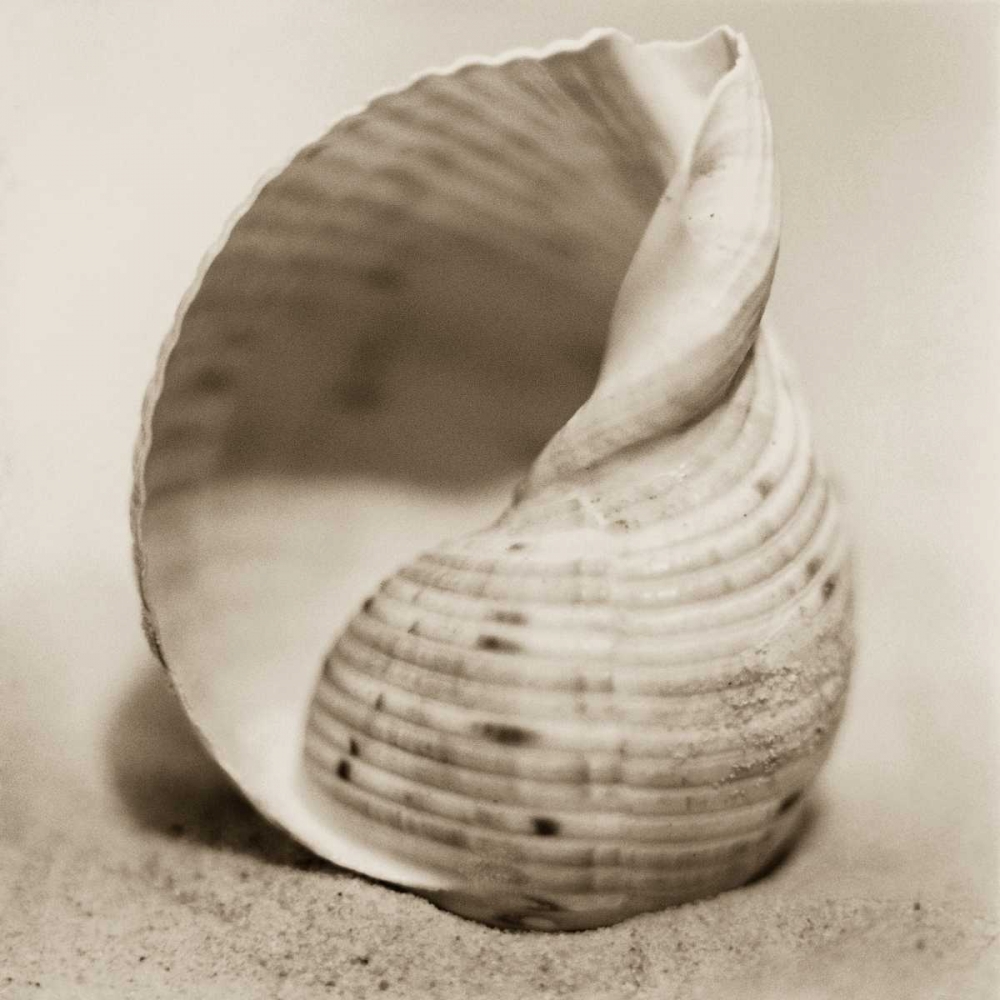 Wall art: La Playa No4, by Blaustein, Alan