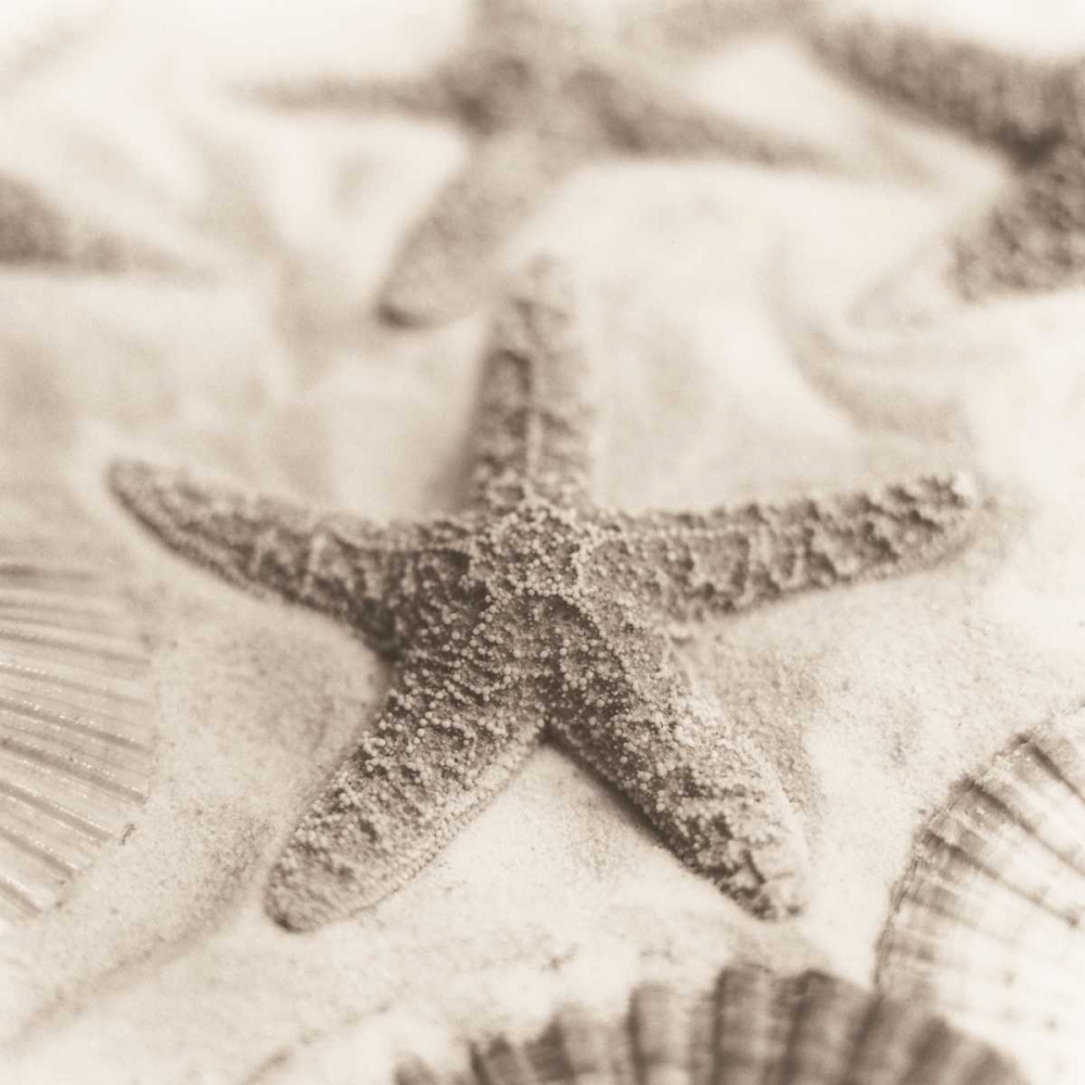 Similar wall art painting: 14699