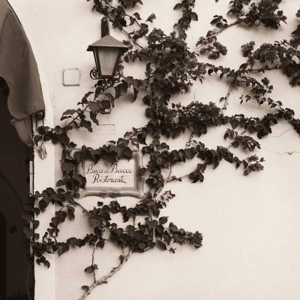 Art Print: Buca di Bacco Ristorante