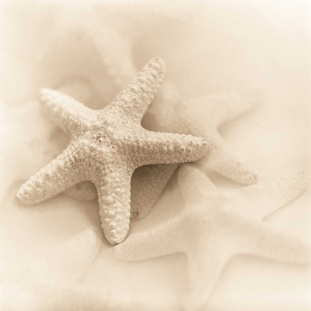 Art Print: Il Oceano No. 1