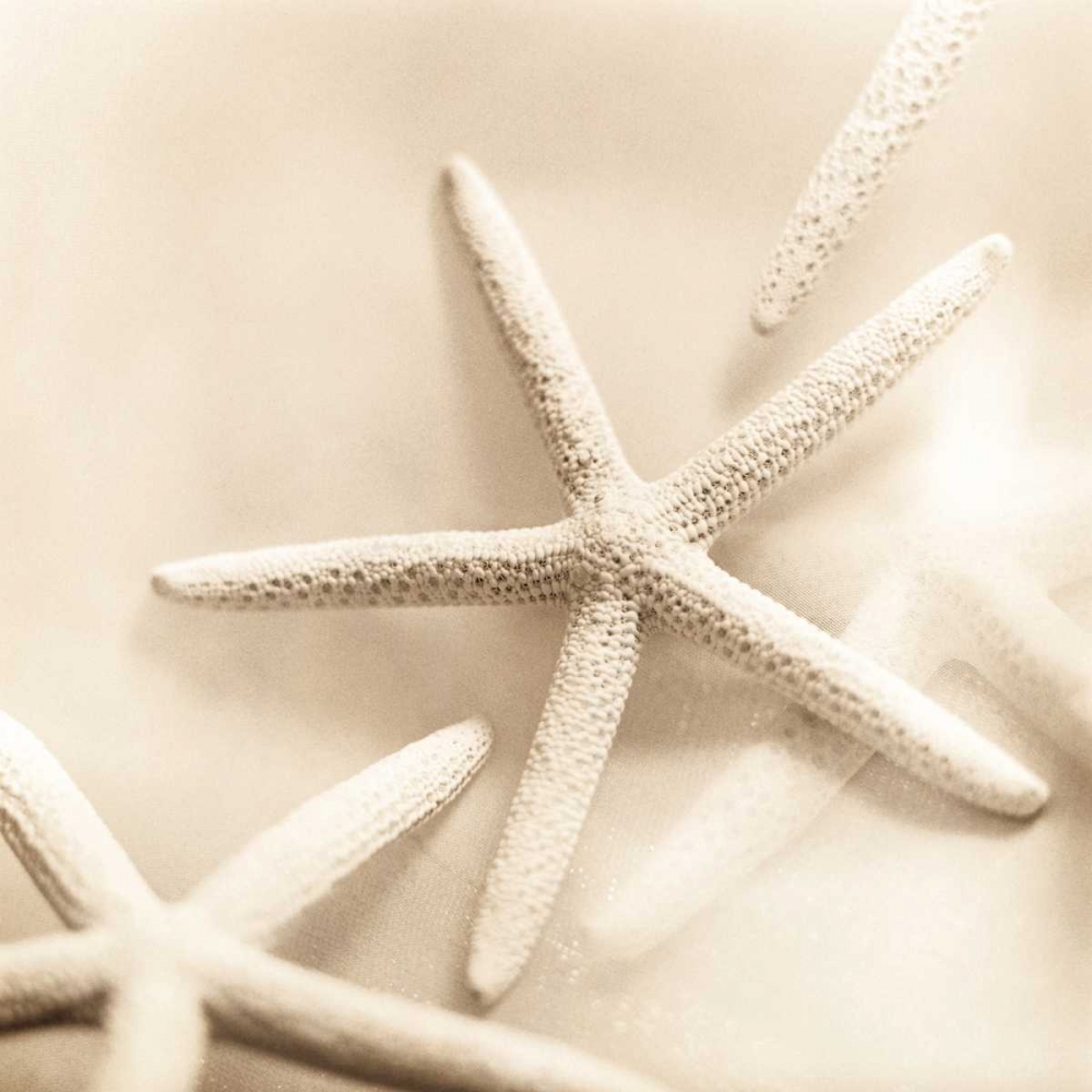 Art Print: Il Oceano No. 2