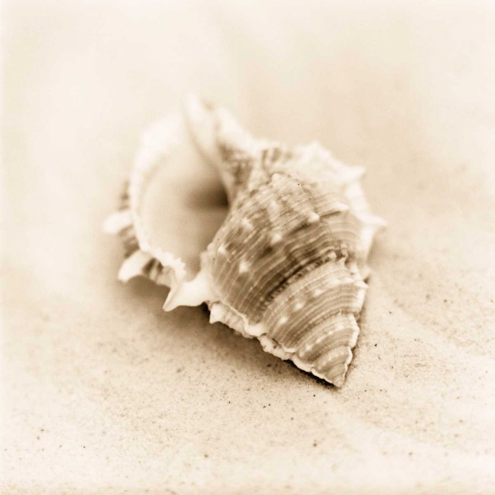 Art Print: Il Oceano No. 3