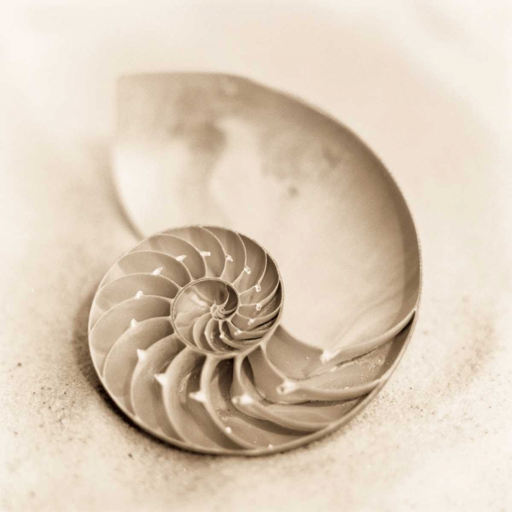 Art Print: Il Oceano No. 4