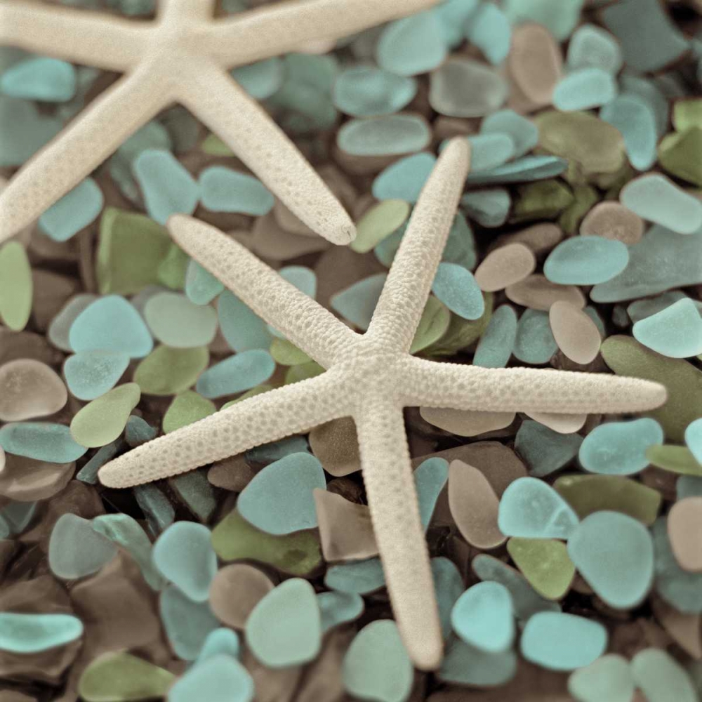 Art Print: Aquatic 1