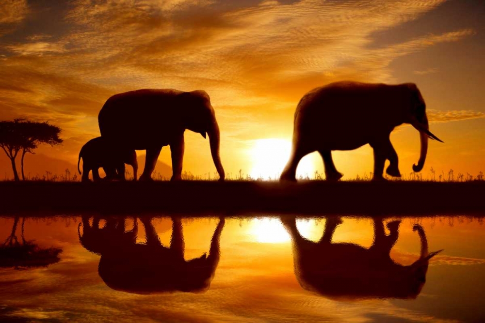 Wall art: Sunset Walk, by Bay, Noah