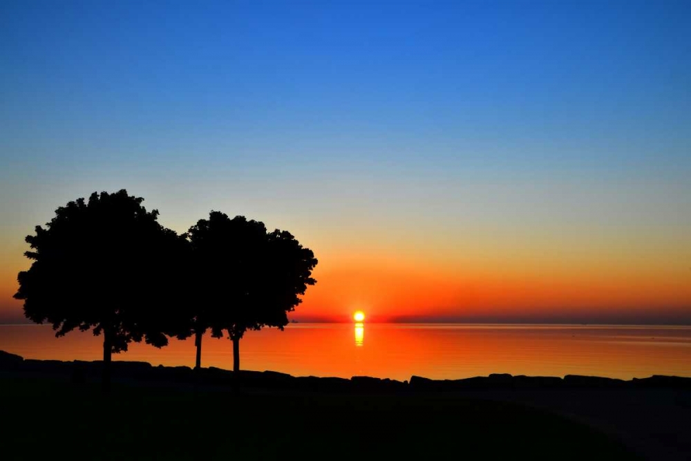 Art Print: Rise and Shine