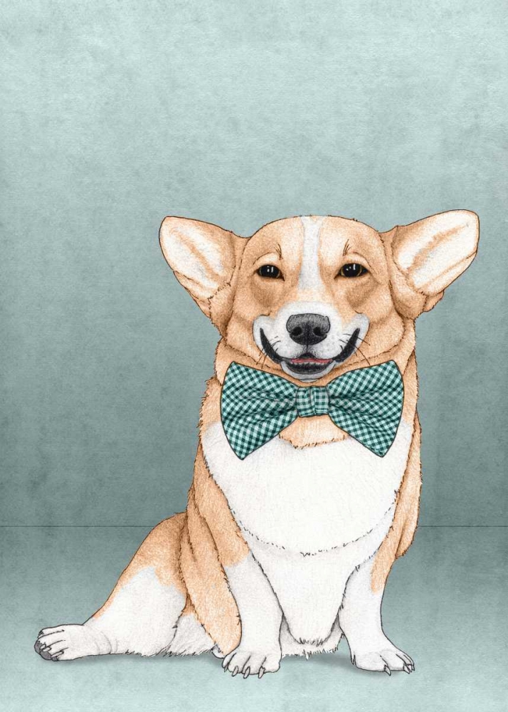 Wall Art Painting id:107203, Name: Corgi Dog, Artist: Barruf