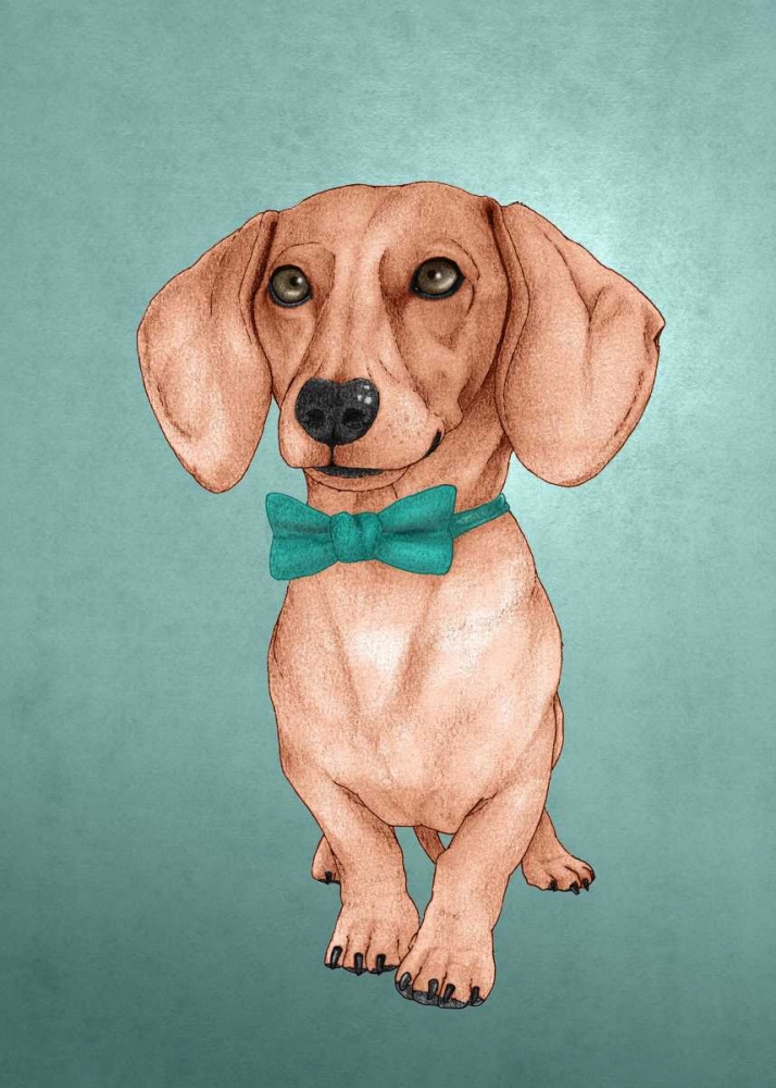 Wall Art Painting id:107205, Name: The Wiener Dog, Artist: Barruf