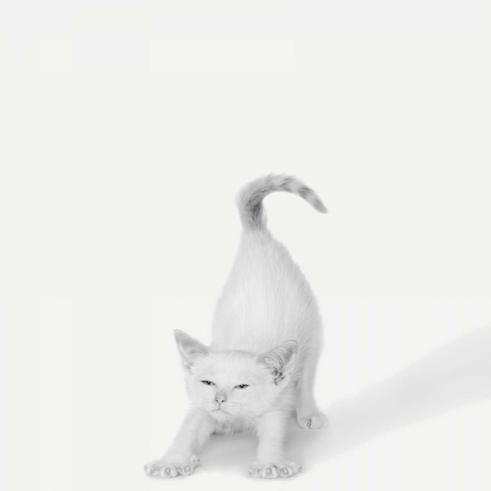 Similar wall art painting: 151257