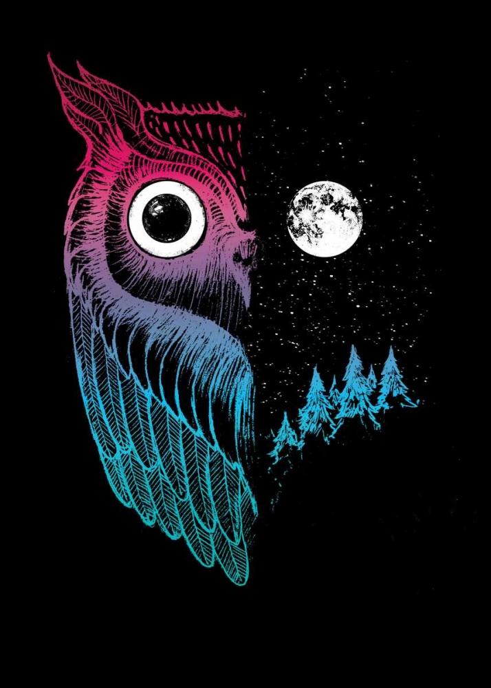 Art Print: Night Owl