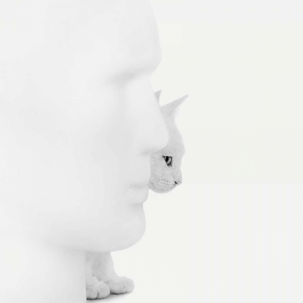 Similar wall art painting: 170041