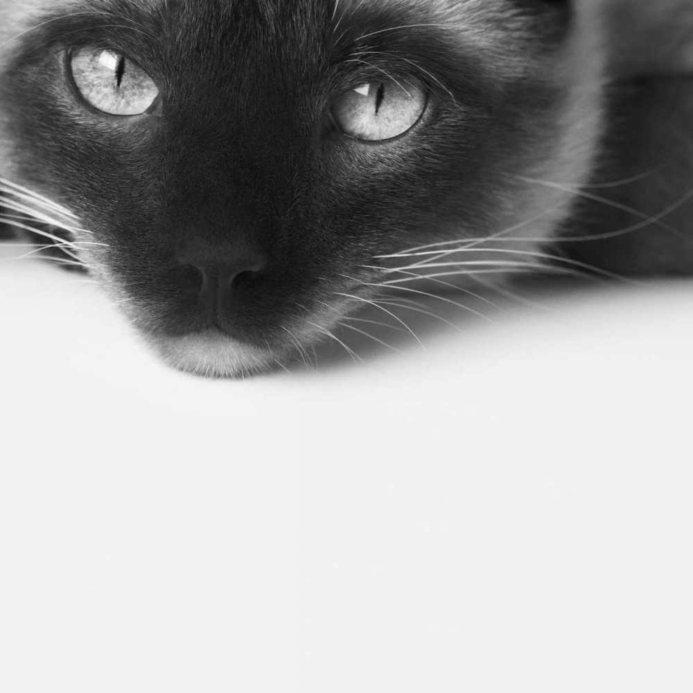 Similar wall art painting: 184395