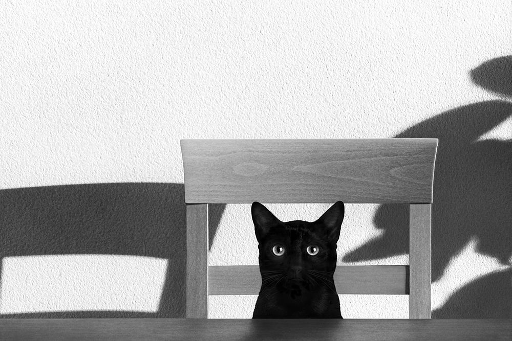 Wall Art Painting id:192269, Name: Where Is My Coffee?, Artist: Bertelli, Jon