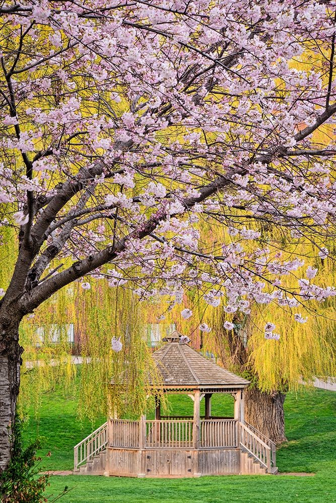 Art Print: Quiet Retreat