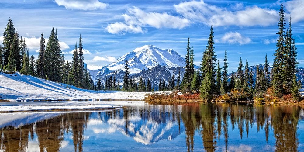 Art Print: Mt. Rainier Vista