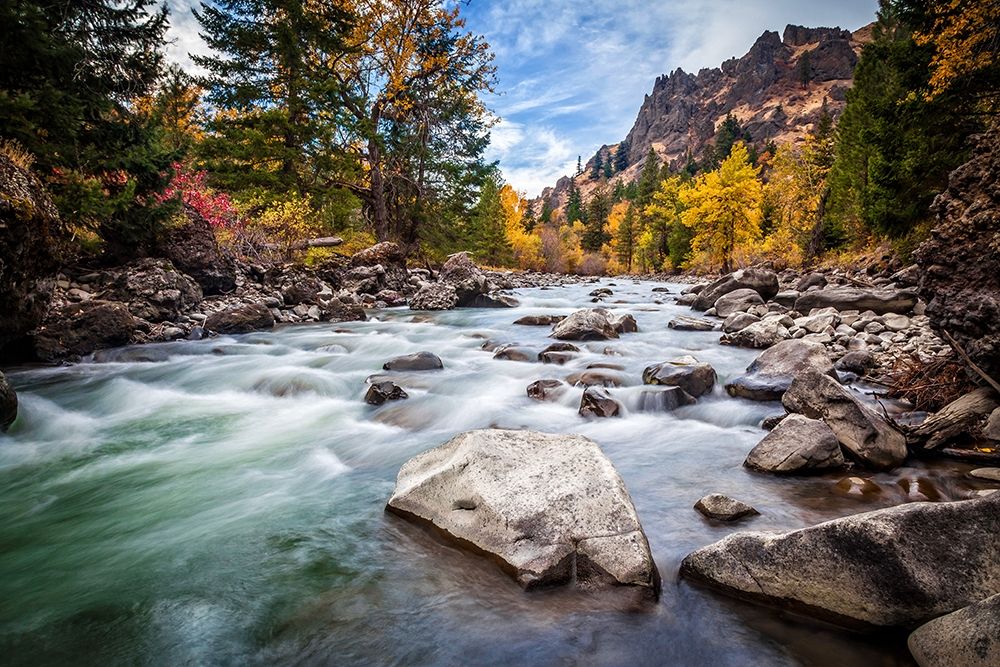 Art Print: Teton River Rush