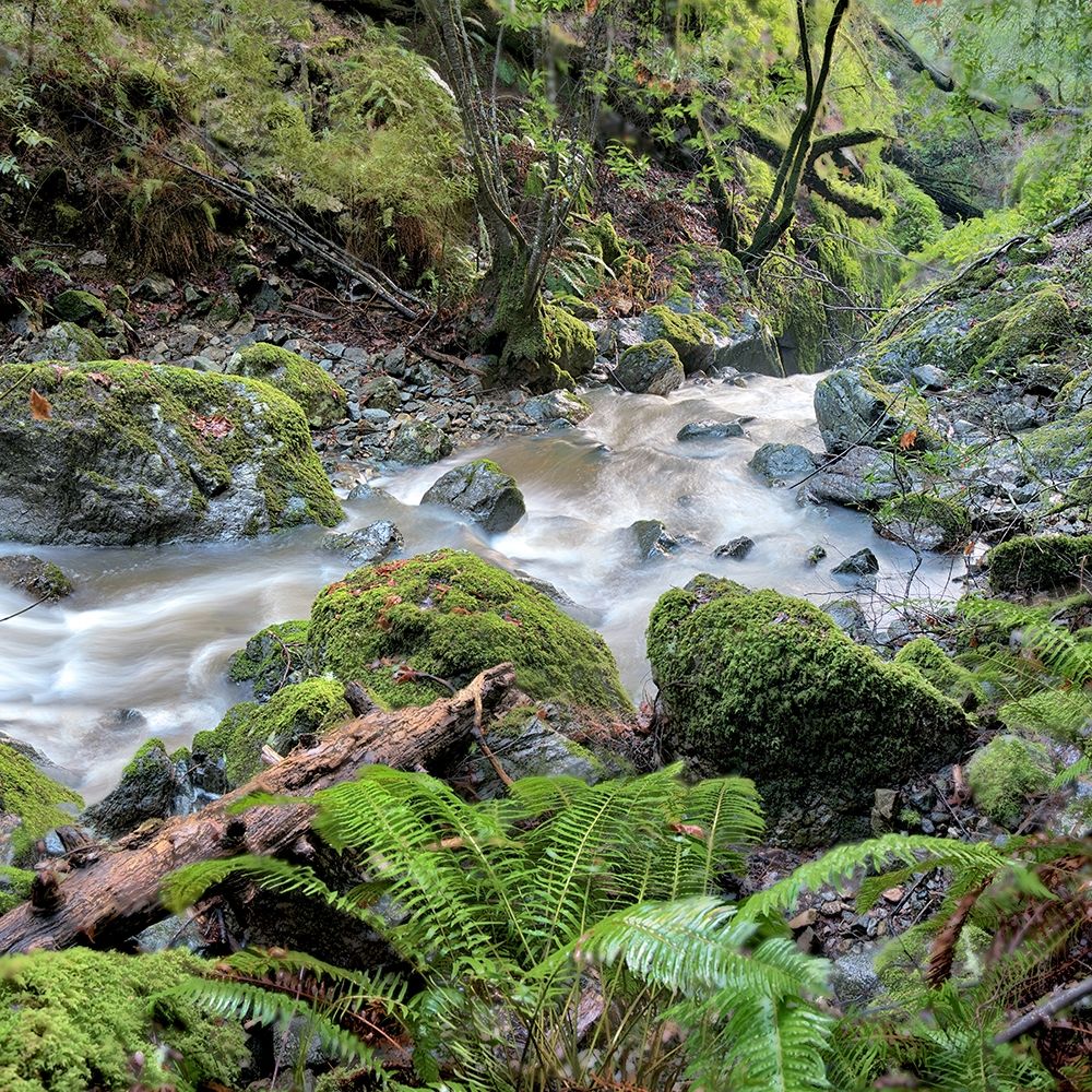 Art Print: Canyon Falls No. 18