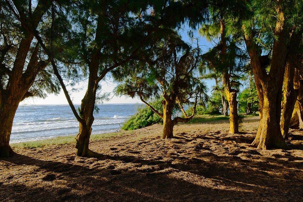 Art Print: Ancient Family