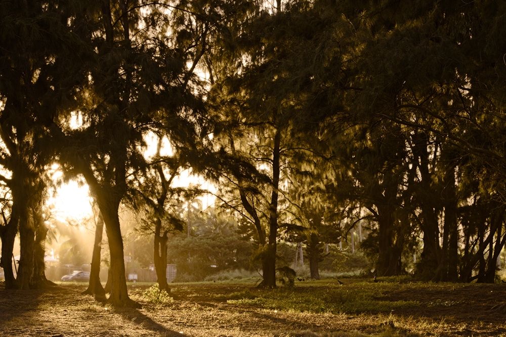 Wall art: Daybreak, by Burdick, Chuck