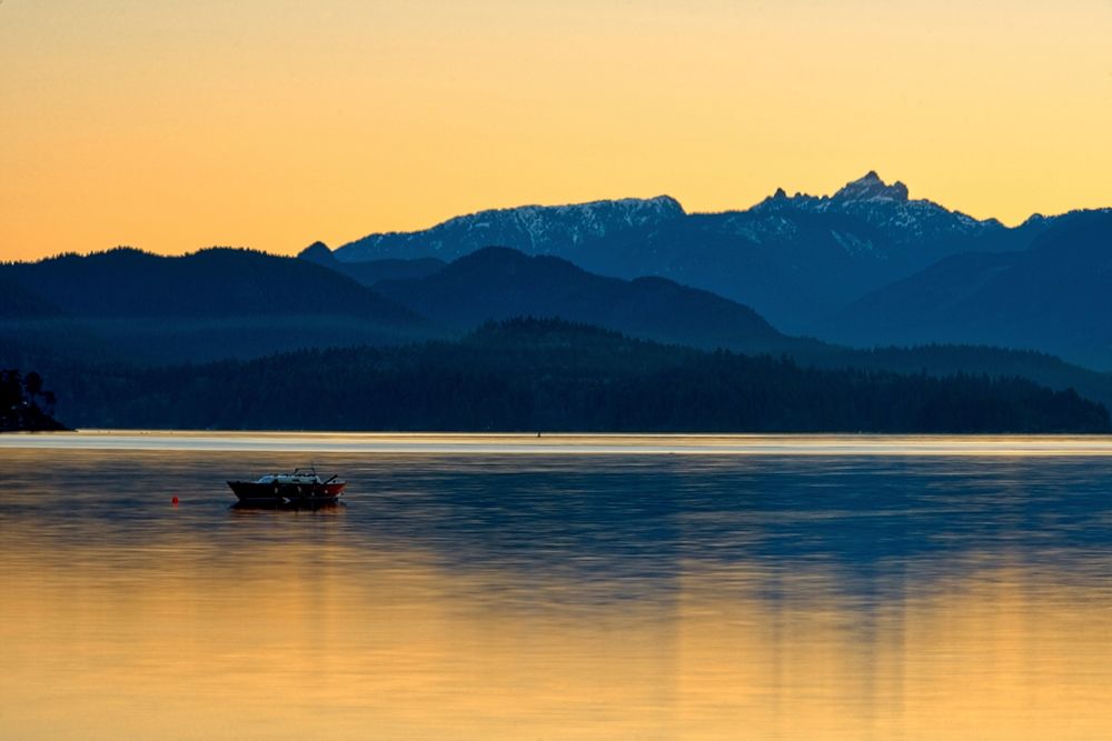 Art Print: Golden Glow