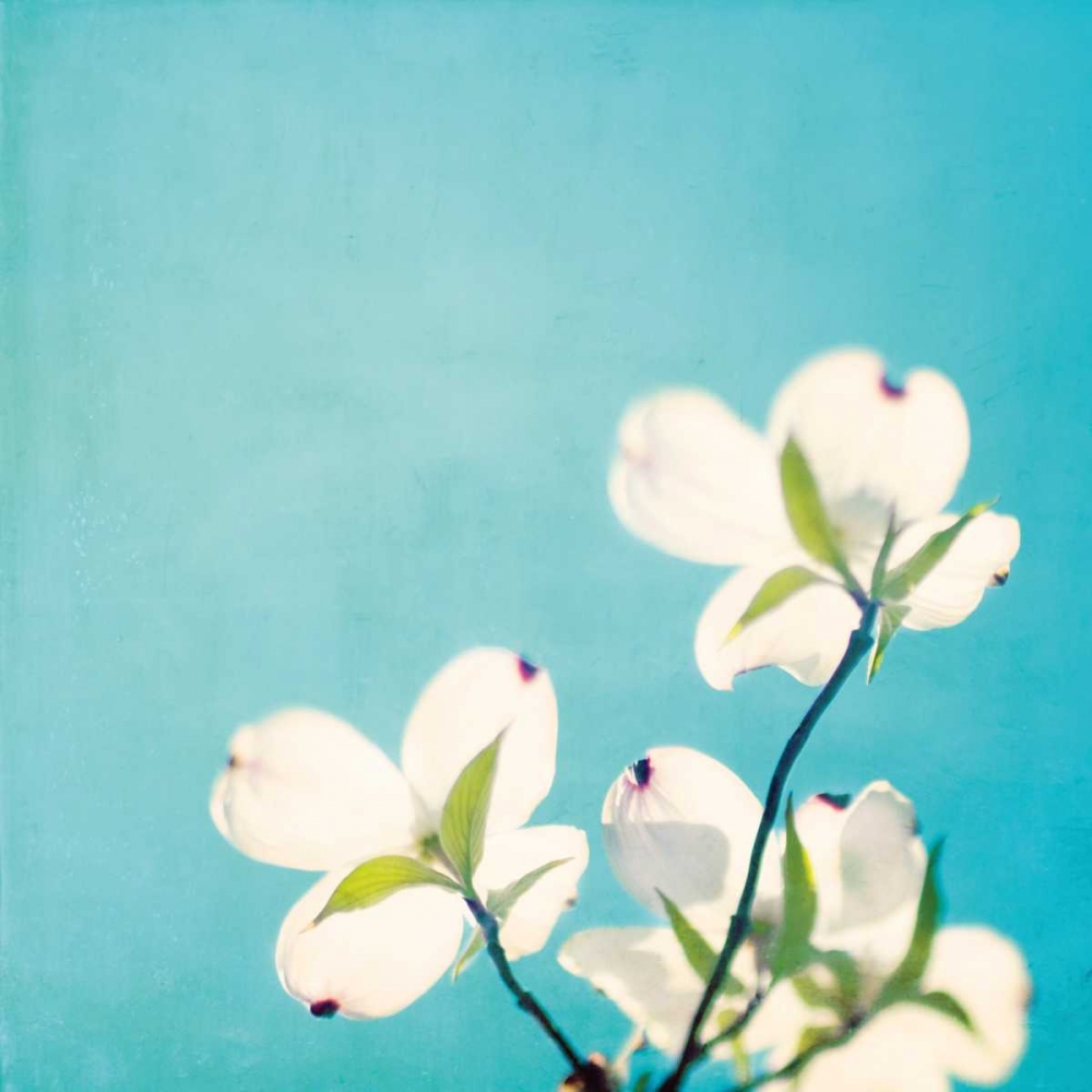 Wall Art Painting id:13671, Name: A Life So Colorful, Artist: Cochrane, Carolyn