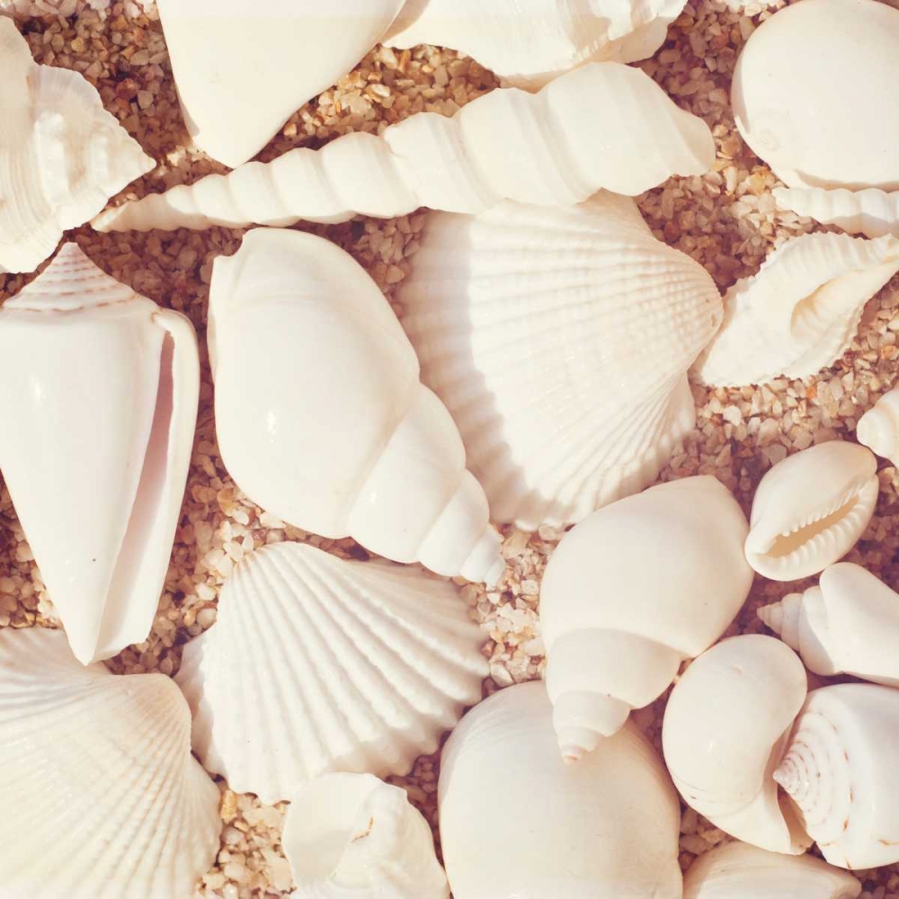 Wall Art Painting id:13674, Name: Beachcomber, Artist: Cochrane, Carolyn